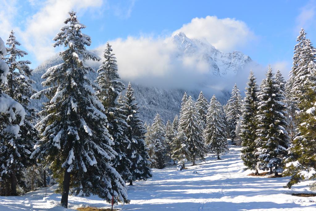 Ferienhaus Bichler Mittenwald Bagian luar foto